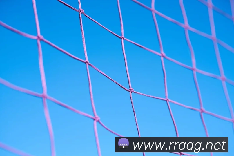 ag官网APP 封面图